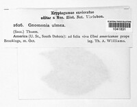 Image Associated With the Occurence